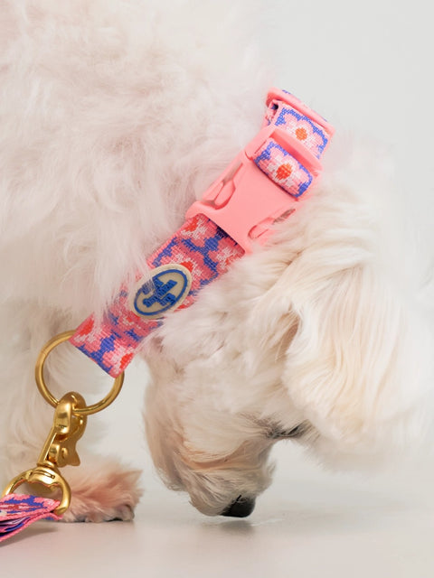 The Wagging Blue Signature Collar