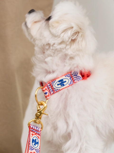 The Wagging Blue Signature Collar