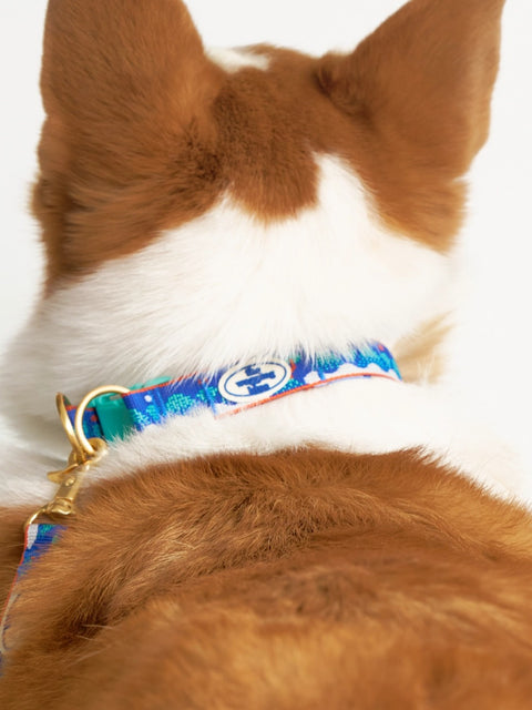 The Wagging Blue Signature Collar