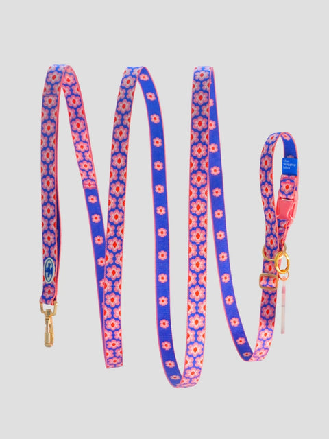 The Wagging Blue Signature Hands-free Long Leash