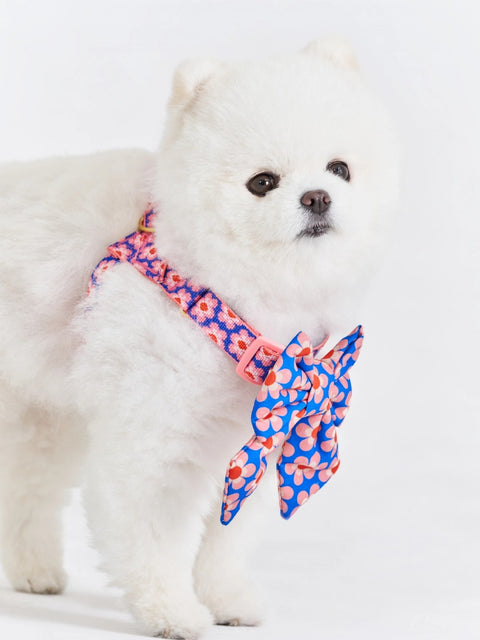 The Wagging Blue Sailor Dog Bow | Classic Collection