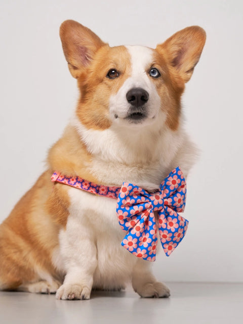 The Wagging Blue Sailor Dog Bow | Classic Collection