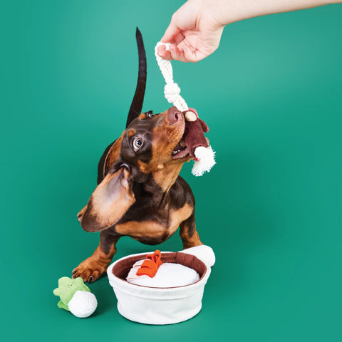 Claypot Rice - Sniffing Toy