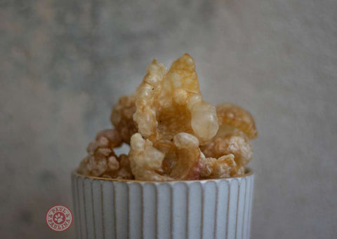 Paul&Paulina_Dog Popcorn (Pork Rind)