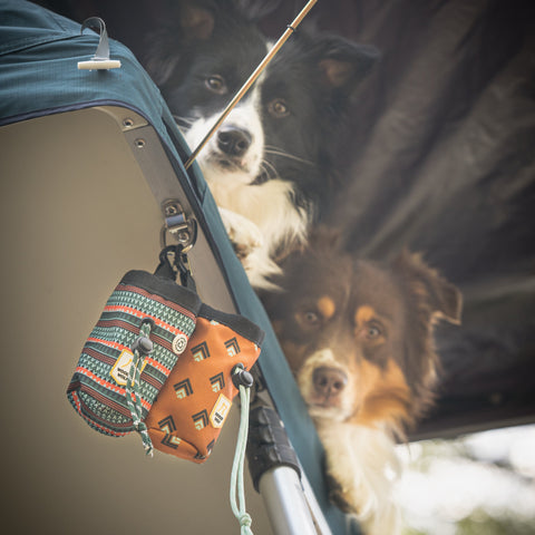 Woolly Wolf Sea to Summit Dog Snack Bag