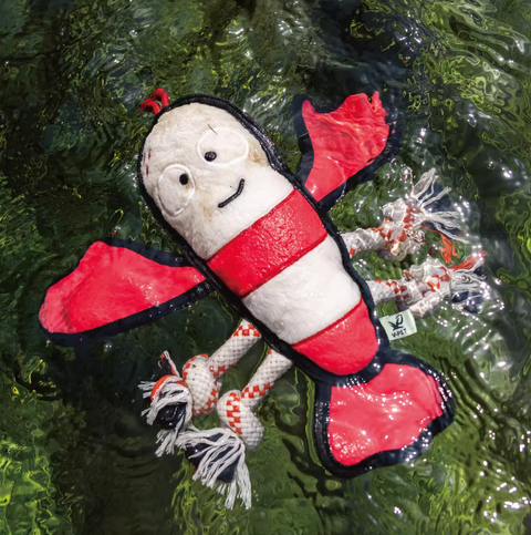 Wave Warriors - Dog rough & tough toys