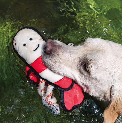 Wave Warriors - Dog rough & tough toys