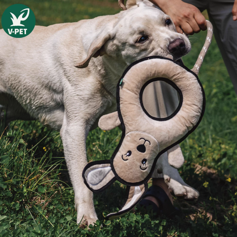 Rough & Tough Toy - Welcome to The Farm