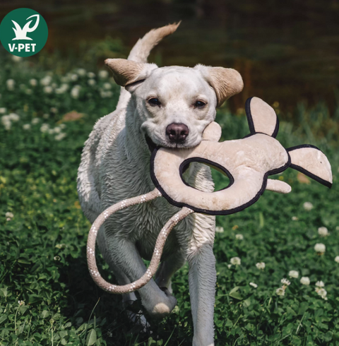 Rough & Tough Toy - Welcome to The Farm