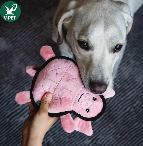 Rough & Tough Toy - Welcome to The Farm