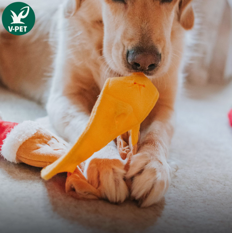 Seasonal Toys - Food-dispensing Puzzle Toy - Gingerbread Man (Christmas)