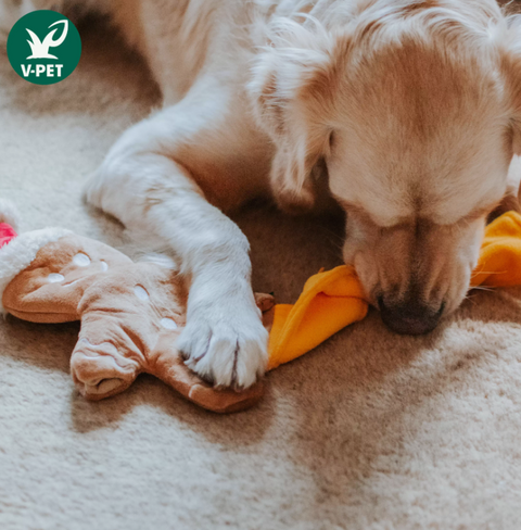 Seasonal Toys - Food-dispensing Puzzle Toy - Gingerbread Man (Christmas)