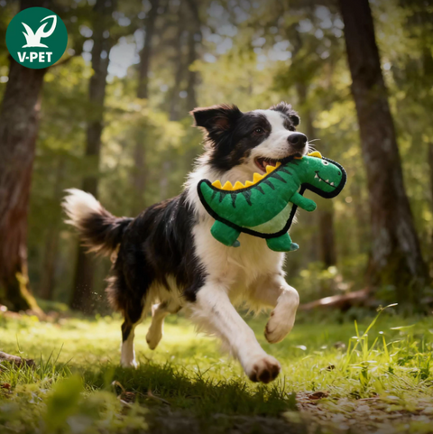 Rough & Tough Toy - Jurassic Echo