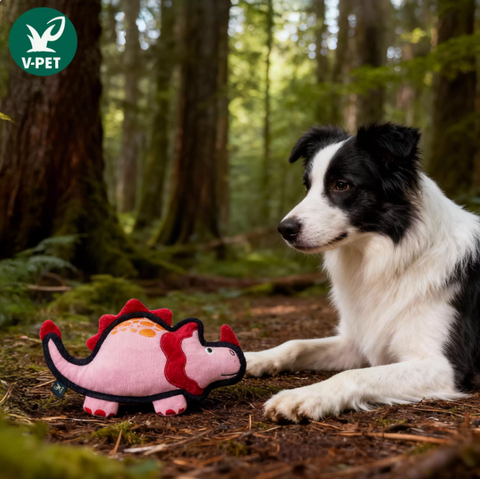 Rough & Tough Toy - Jurassic Echo