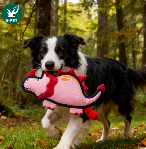 Rough & Tough Toy - Jurassic Echo