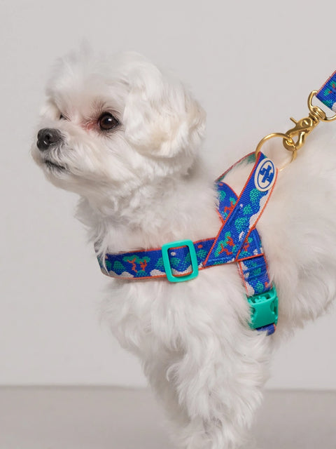 The Wagging Blue 招牌胸背帶