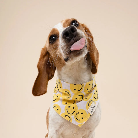 Dog Bandana - Smile