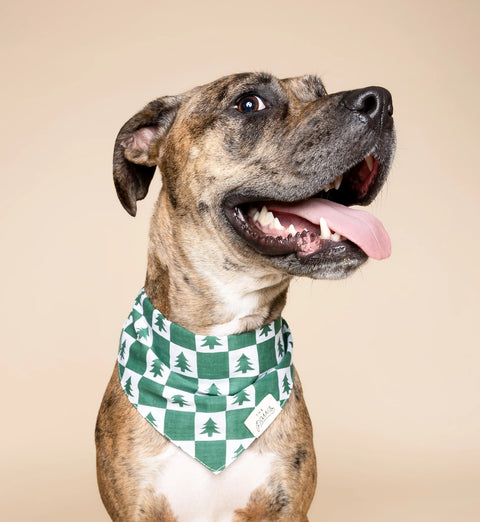 Dog Bandana - Spruce