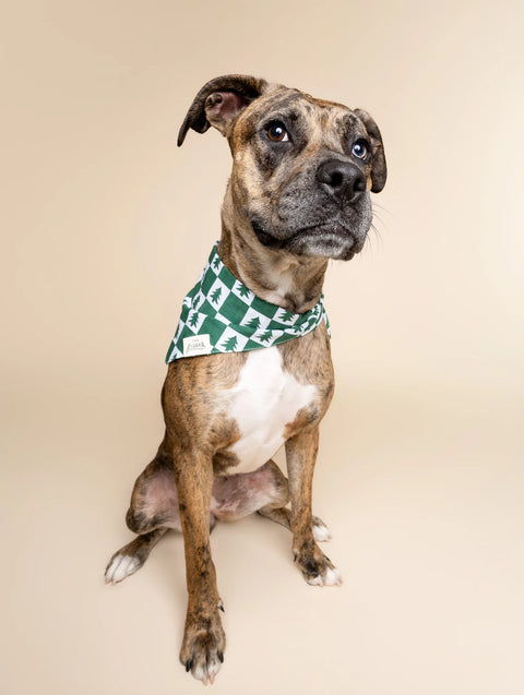 Dog Bandana - Spruce