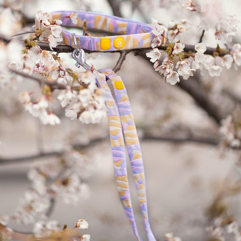 Woolly Woof Sunshower Dog Leash