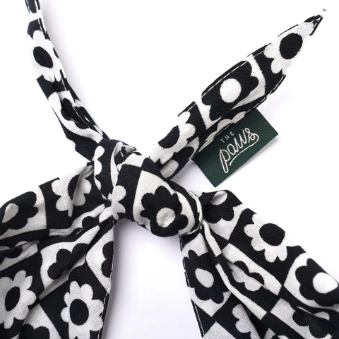 Dog Bandana - Tux