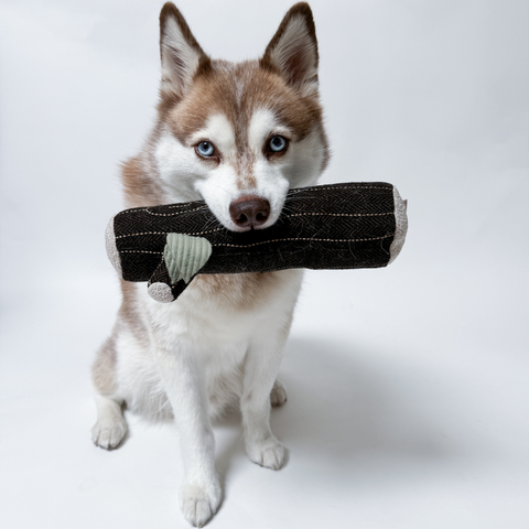 Fire Log Squeaky Dog Toy