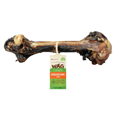Kangaroo Large Bone