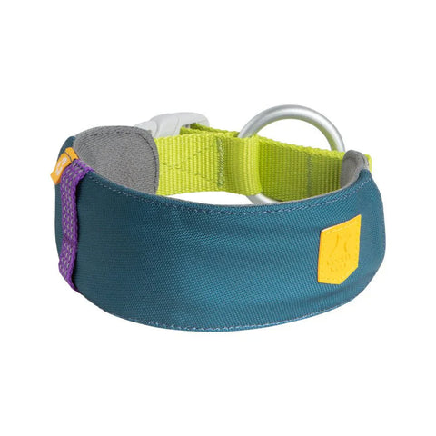 ALPHA 360 COLLAR - Deep Teal Mix