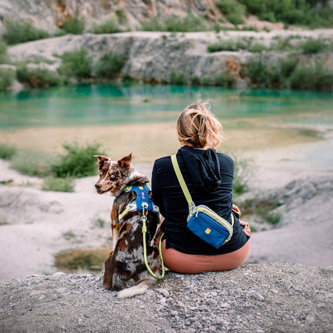 Alpha 360 Hip Pack Deep Teal