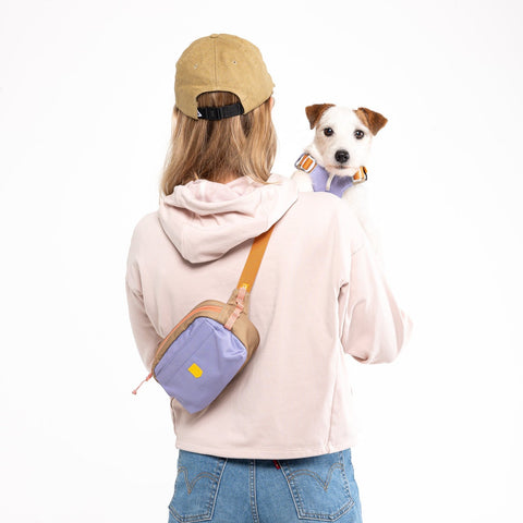 Alpha 360 Hip Pack Lavender