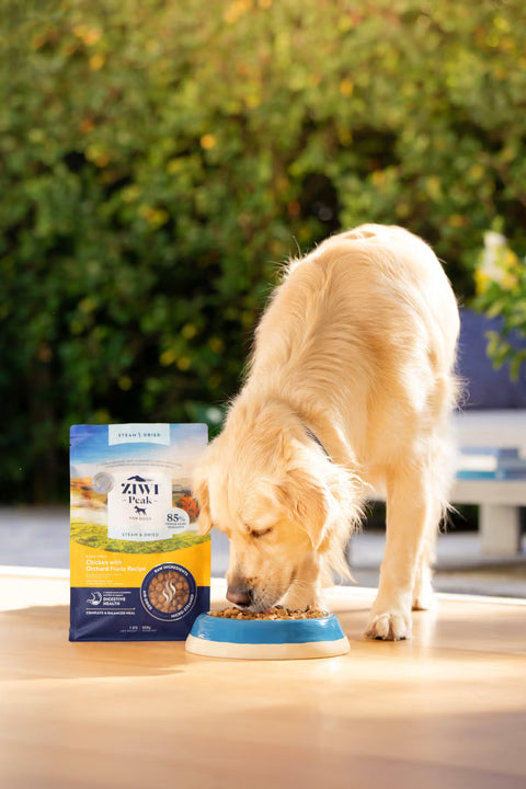 Steam & Dried - Chicken with Orchard Fruits Dog Food