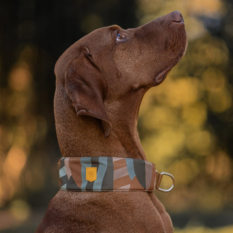 Woolly Wolf Cloudbeam Soft Martingale Collar