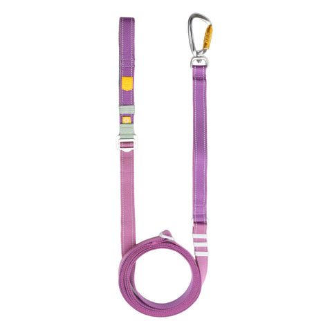 Color Block Multi-Use Dog Leash Mauve Mix