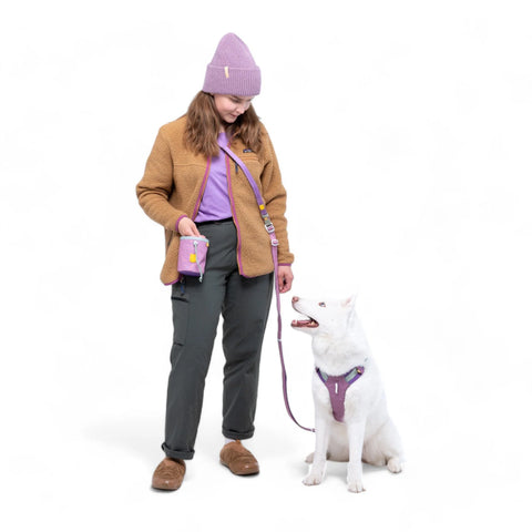 Color Block Multi-Use Dog Leash Mauve Mix