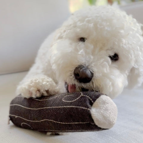 Fire Log Squeaky Dog Toy