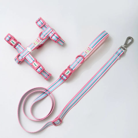 Doggu Cherish Every Little Thing H-Harness & Leash Set
