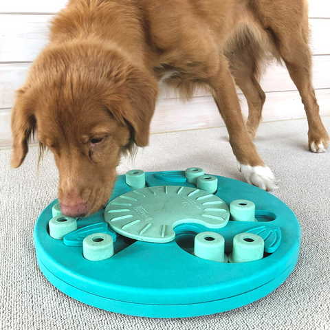 DOG PUZZLE GAME - DOG WORKER