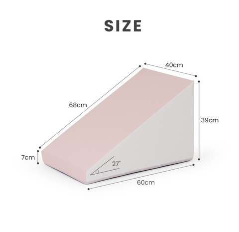 【PRE-ORDER】Non-Slip Pet Slide