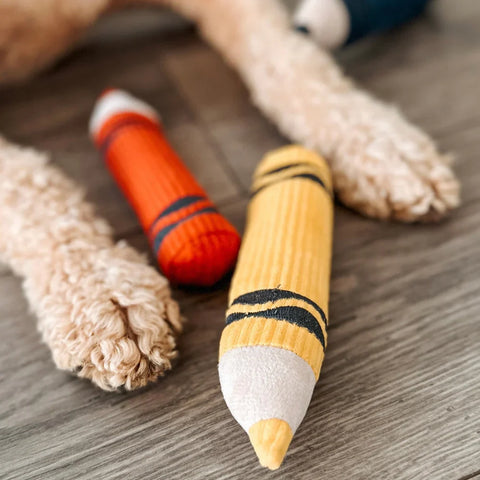 CRAYONS snuffle + burrow toy
