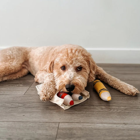 CRAYONS snuffle + burrow toy