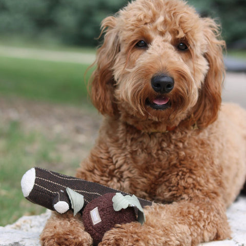 Fire Log Squeaky Dog Toy