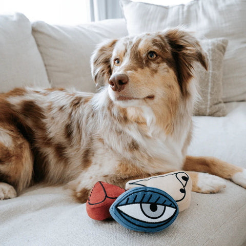 PICASSO - snuffle + squeaky