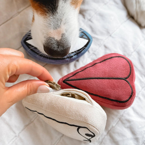 PICASSO - snuffle + squeaky