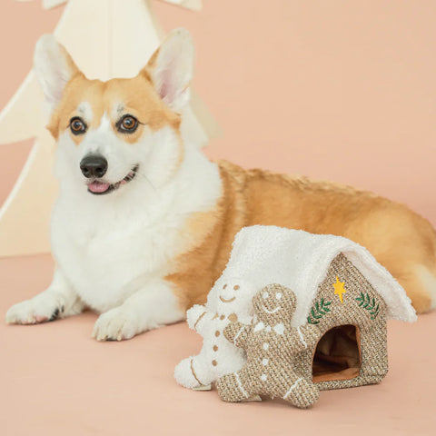 XMas Gingerbread House (burrow + nosework)