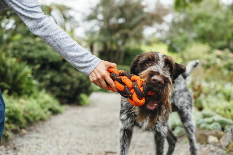 Honeycomb Rope Toy - Petisan