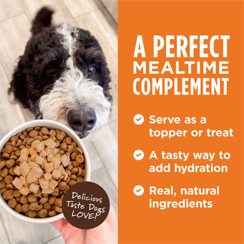 Instinct - 3oz Dog Wet Food - Healthy Cravings Pouch