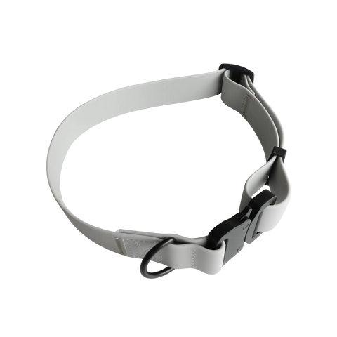 AVA // Quick-release metal buckle collar