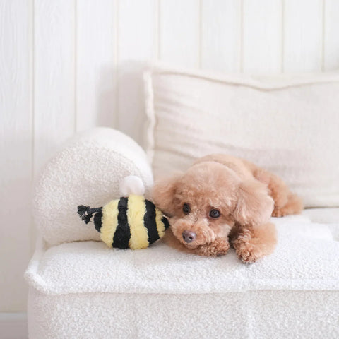 Bee Bug POP – Lambwolf – Dog Plush Toy – image 3