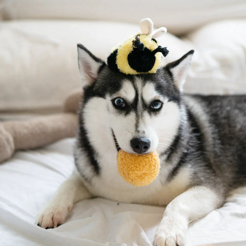 Bee Bug POP – Lambwolf – Dog Plush Toy – side view