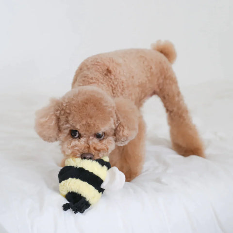 Bee Bug POP – Lambwolf – Dog Plush Toy – image 4